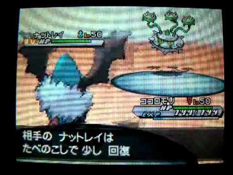 【ﾎﾟｹﾓﾝBW2】ひー's マイナーバトル記録No.13～夢ココロモリの逆襲～