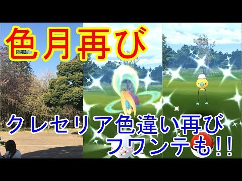 【ポケモンGO】色違い再び、そしてタッツー狙い【Pokemon GO】Different colors again, and Tatsuo aim
