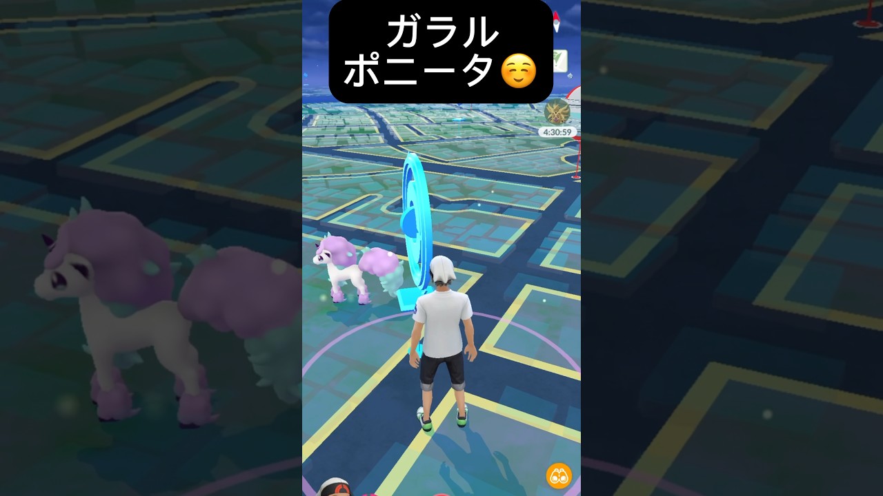 【ポケモンGO】ガラルポニータが現れた!!【✨Galarian Ponyta Pokémon GO X Pokemon Card Artwalk✨】