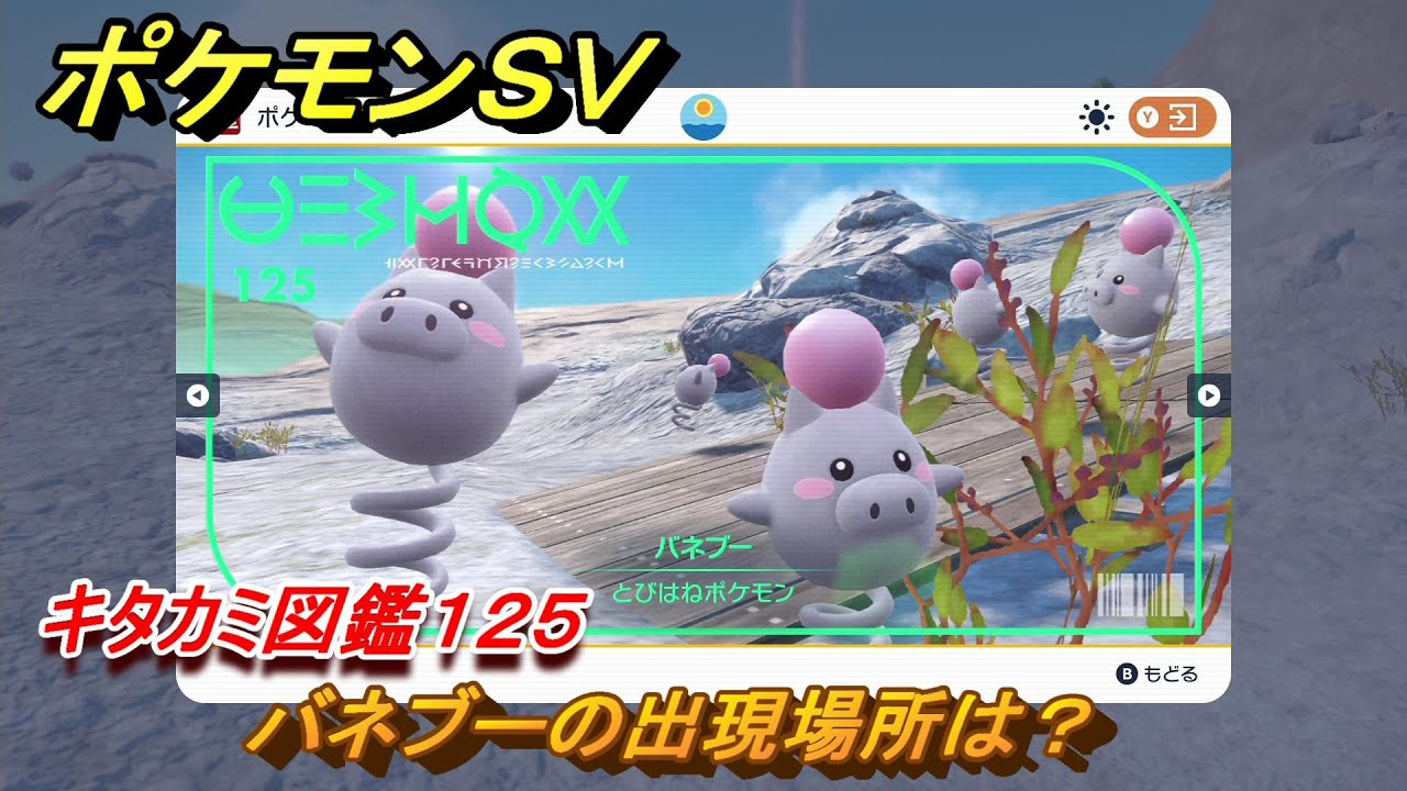ポケモンＳＶ　バネブーの出現場所は？　キタカミ図鑑１２５　ポケモン図鑑を完成させよう！　＃１０９　【DLCゼロの秘宝　碧の仮面・藍の円盤】