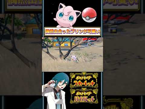 偶然出会ったプリンが可愛すぎる件【ポケモンSV】#shorts