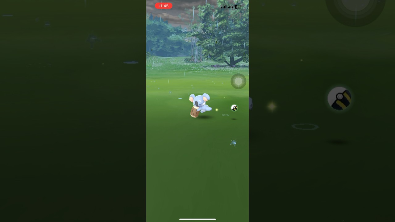 ネッコアラ 普通にゲット&図鑑登録