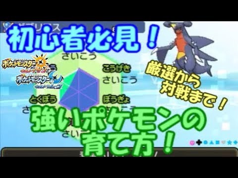 【ポケモンUSM】レート対戦の強いポケモンの育て方！厳選から対戦で使うまでの流れを徹底解説！一般ポケモン編 努力値振り，レベル上げ 厳選法 ウルトラサン ウルトラムーン ポケモンUSUM