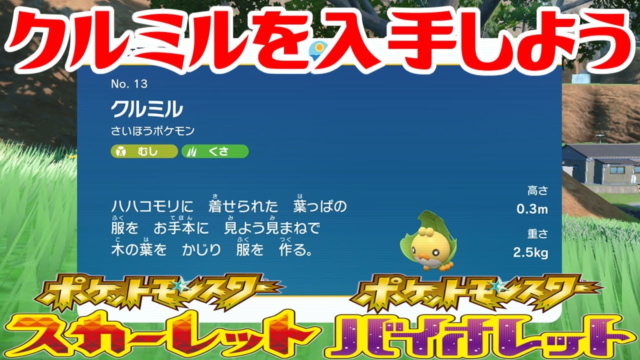 【ポケモンSV】クルミルを入手しよう【ポケットモンスター スカーレット・バイオレット ゼロの秘宝 碧の仮面】Pocket Monsters
