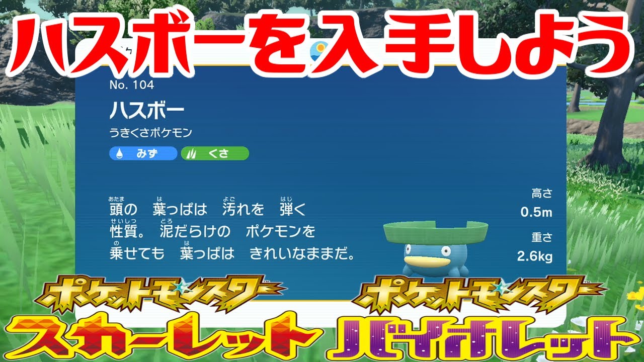 【ポケモンSV】ハスボーを入手しよう【ポケットモンスター スカーレット・バイオレット ゼロの秘宝 碧の仮面】Pocket Monsters