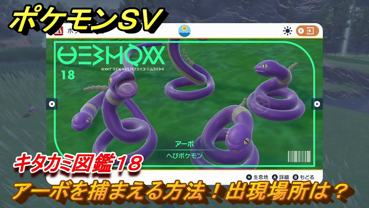 ポケモンＳＶ　アーボを捕まえる方法！出現場所は？　キタカミ図鑑１８　ポケモン図鑑を完成させよう！　＃４７　【DLCゼロの秘宝　碧の仮面・藍の円盤】