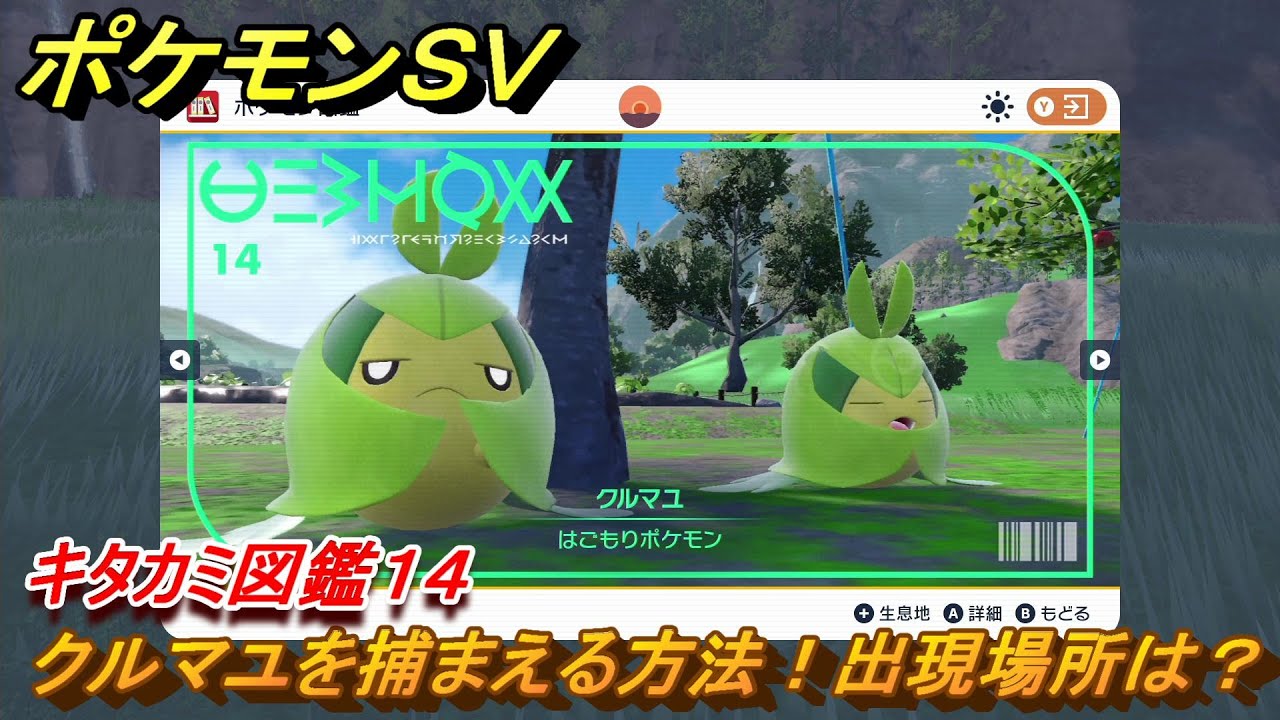 ポケモンＳＶ　クルマユを捕まえる方法！出現場所は？　キタカミ図鑑１４　ポケモン図鑑を完成させよう！　＃４８　【DLCゼロの秘宝　碧の仮面・藍の円盤】