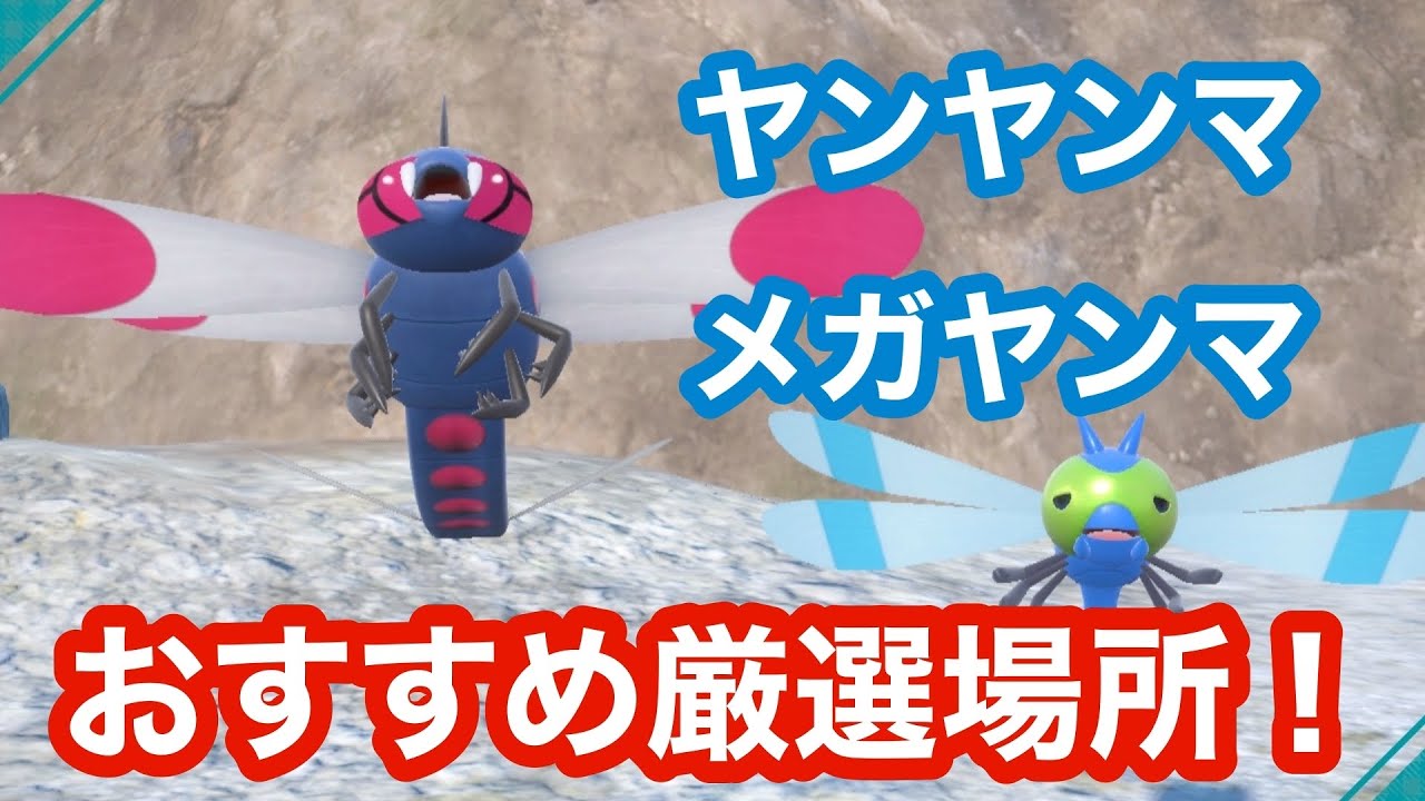 【画面固定】ヤンヤンマ・メガヤンマの色違いを大量発生なしで厳選できるとっておきの場所【ポケモンSV】【碧の仮面】