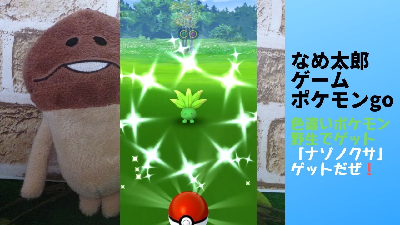 【縦画面スマホ向け】なめ太郎の色違い野生の「ナゾノクサ」ゲットだぜ！【ポケモンgo】