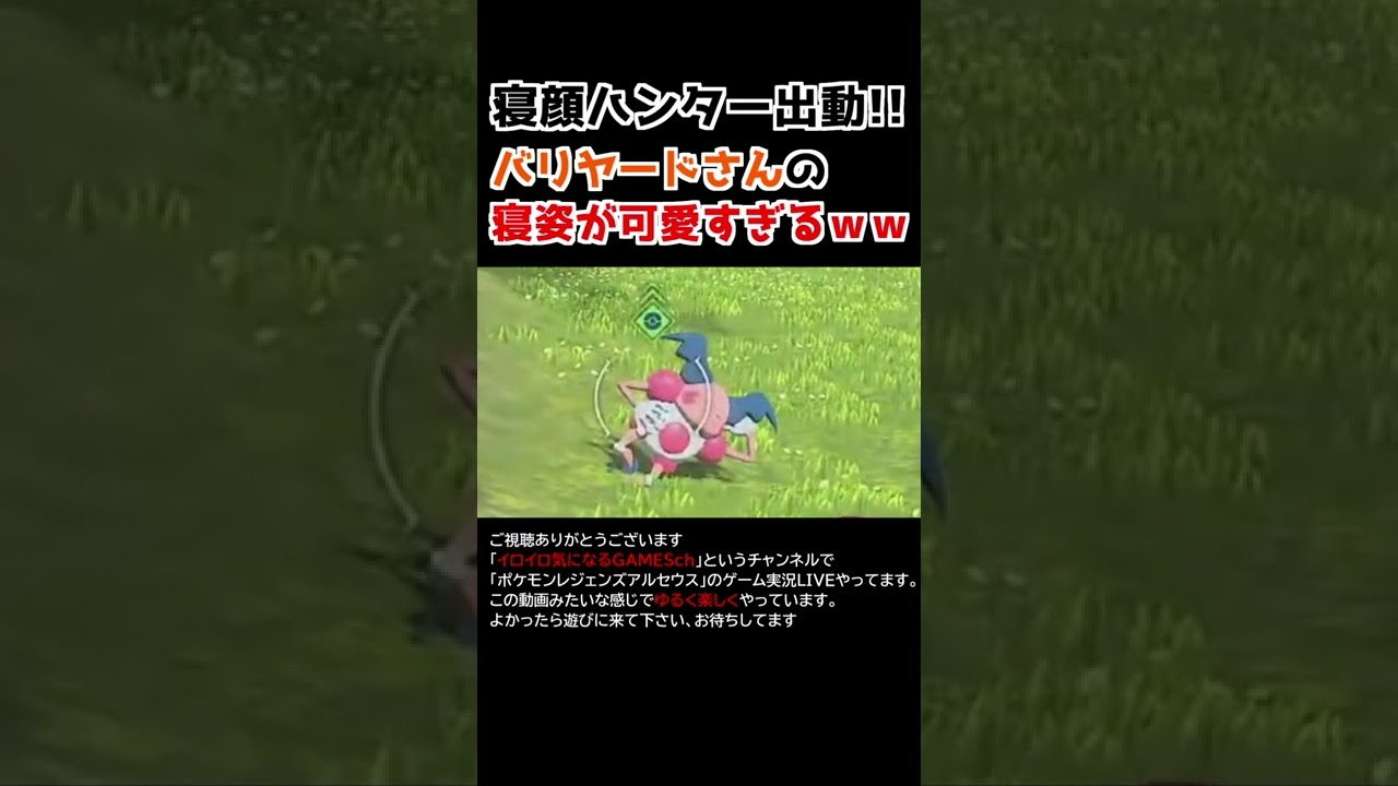 バリヤードさんの「寝姿」が可愛すぎるww【Pokémon LEGENDS アルセウス】【寝顔ハンター】