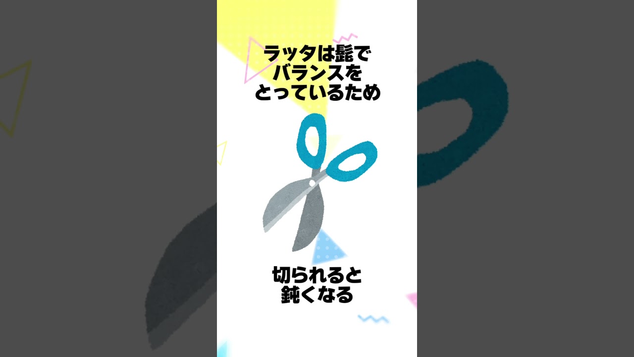 【ポケモン】ラッタ系統に関する豆知識 #shorts