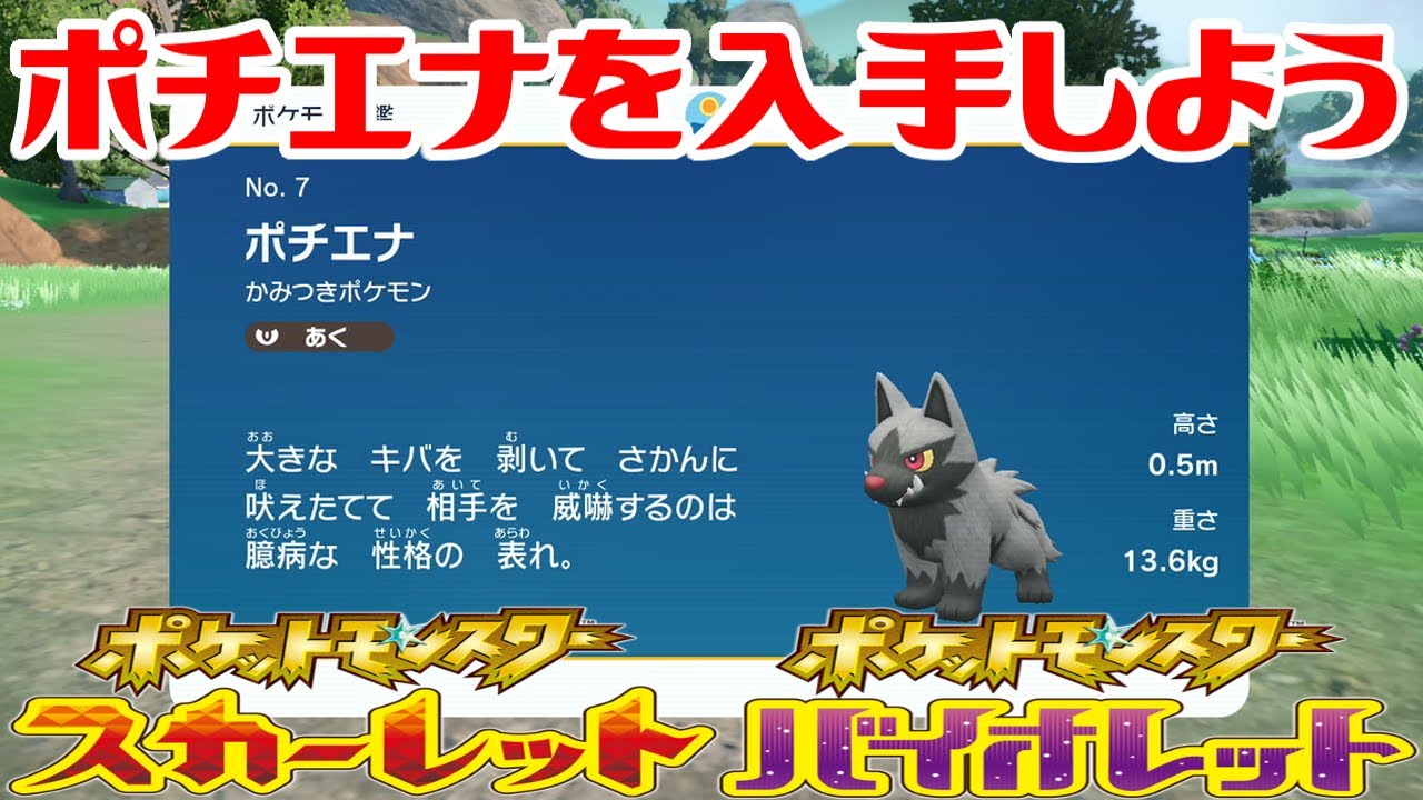 【ポケモンSV】ポチエナを入手しよう【ポケットモンスター スカーレット・バイオレット ゼロの秘宝 碧の仮面】Pocket Monsters