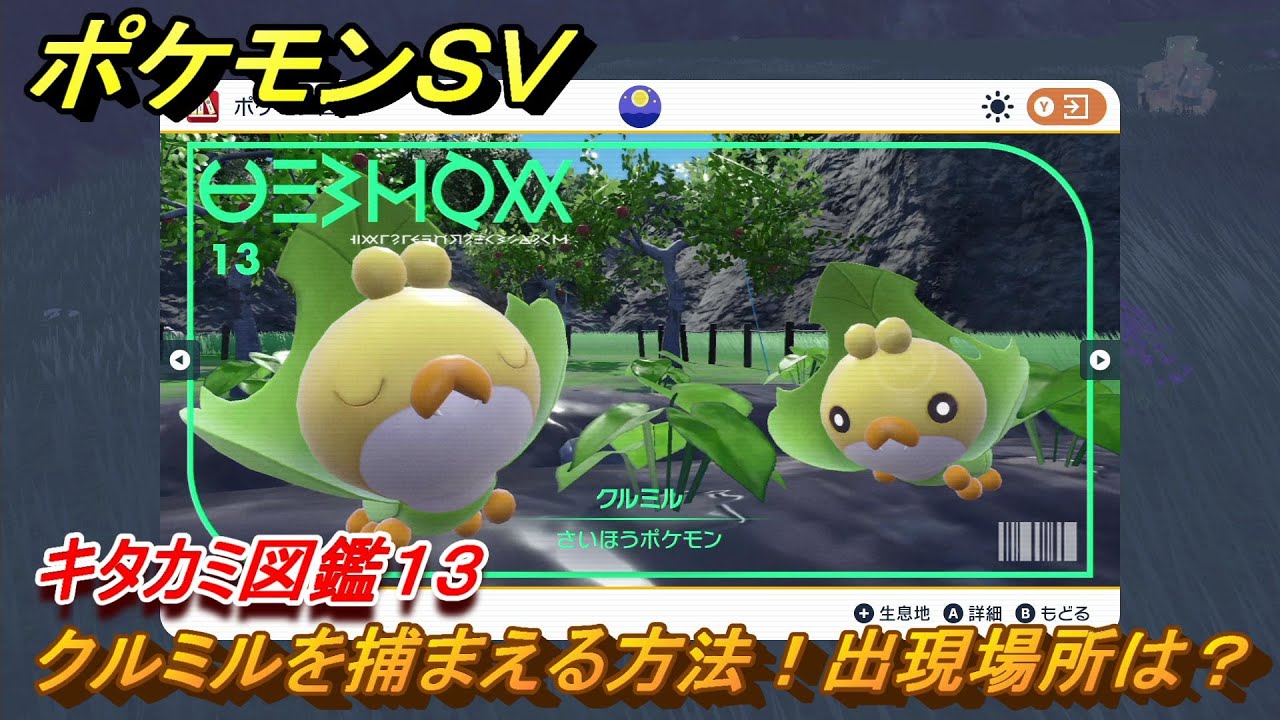 ポケモンＳＶ　クルミルを捕まえる方法！出現場所は？　キタカミ図鑑１３　ポケモン図鑑を完成させよう！　＃５１　【DLCゼロの秘宝　碧の仮面・藍の円盤】