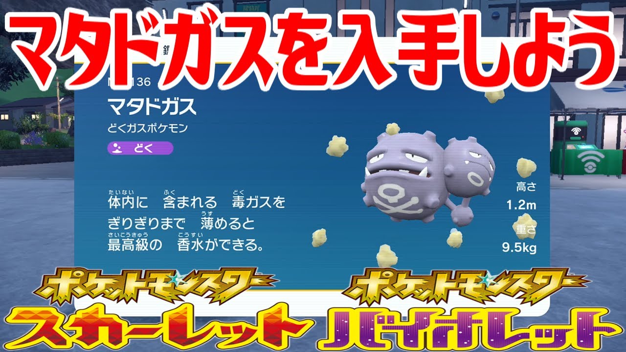 【ポケモンSV】マタドガスを入手しよう 進化入手【ポケットモンスター スカーレット・バイオレット ゼロの秘宝 碧の仮面】Pocket Monsters