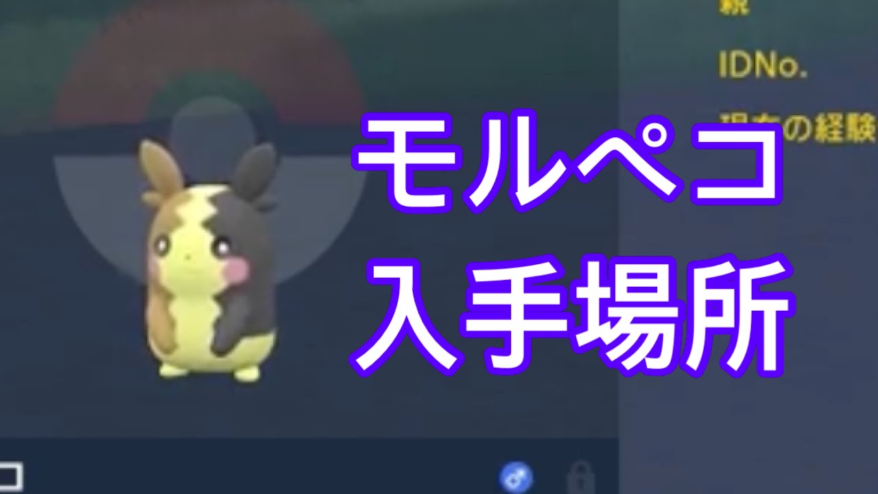 【ポケモンSV】【DLC】モルペコ入手場所　バイオレット