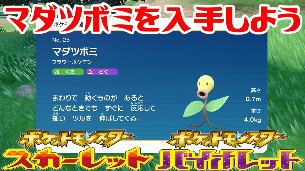 【ポケモンSV】マダツボミを入手しよう【ポケットモンスター スカーレット・バイオレット ゼロの秘宝 碧の仮面】Pocket Monsters