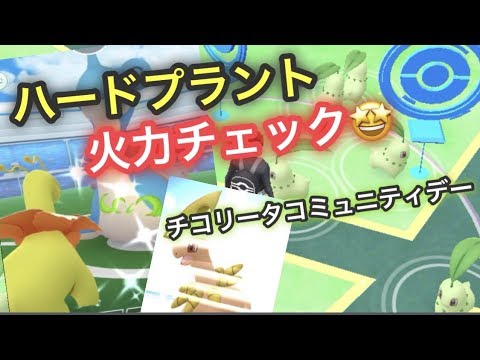 激熱チコリータコミュニティデイ！田舎編【ポケモンGO】