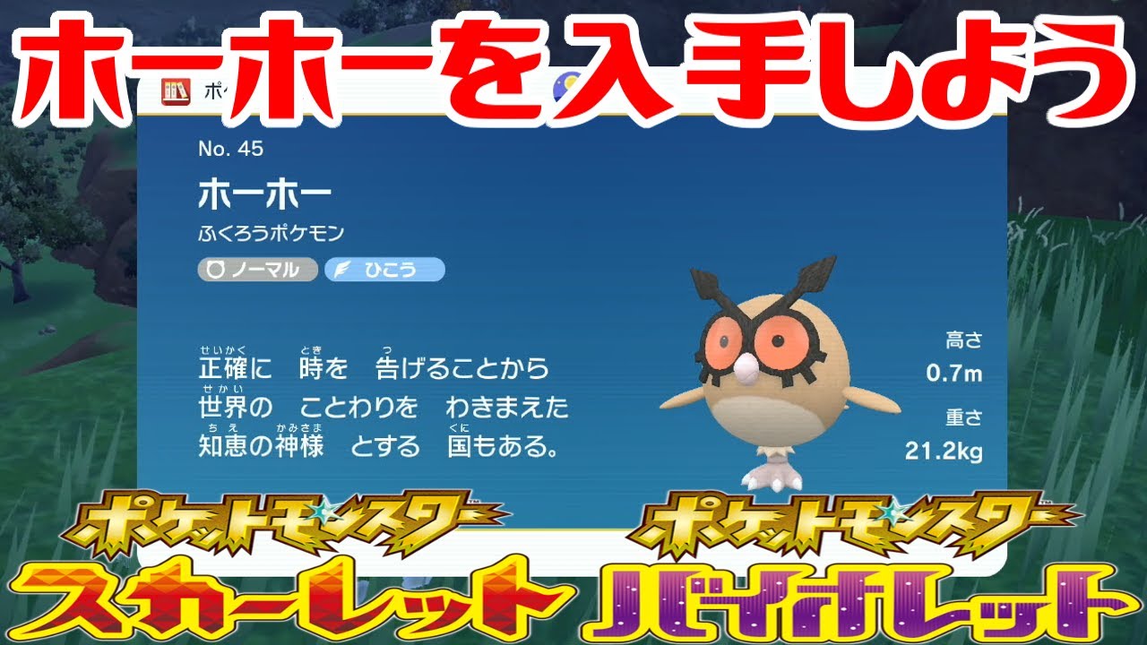 【ポケモンSV】ホーホーを入手しよう【ポケットモンスター スカーレット・バイオレット ゼロの秘宝 碧の仮面】Pocket Monsters
