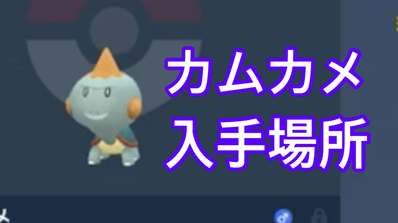 【ポケモンSV】【DLC】カムカメ入手場所