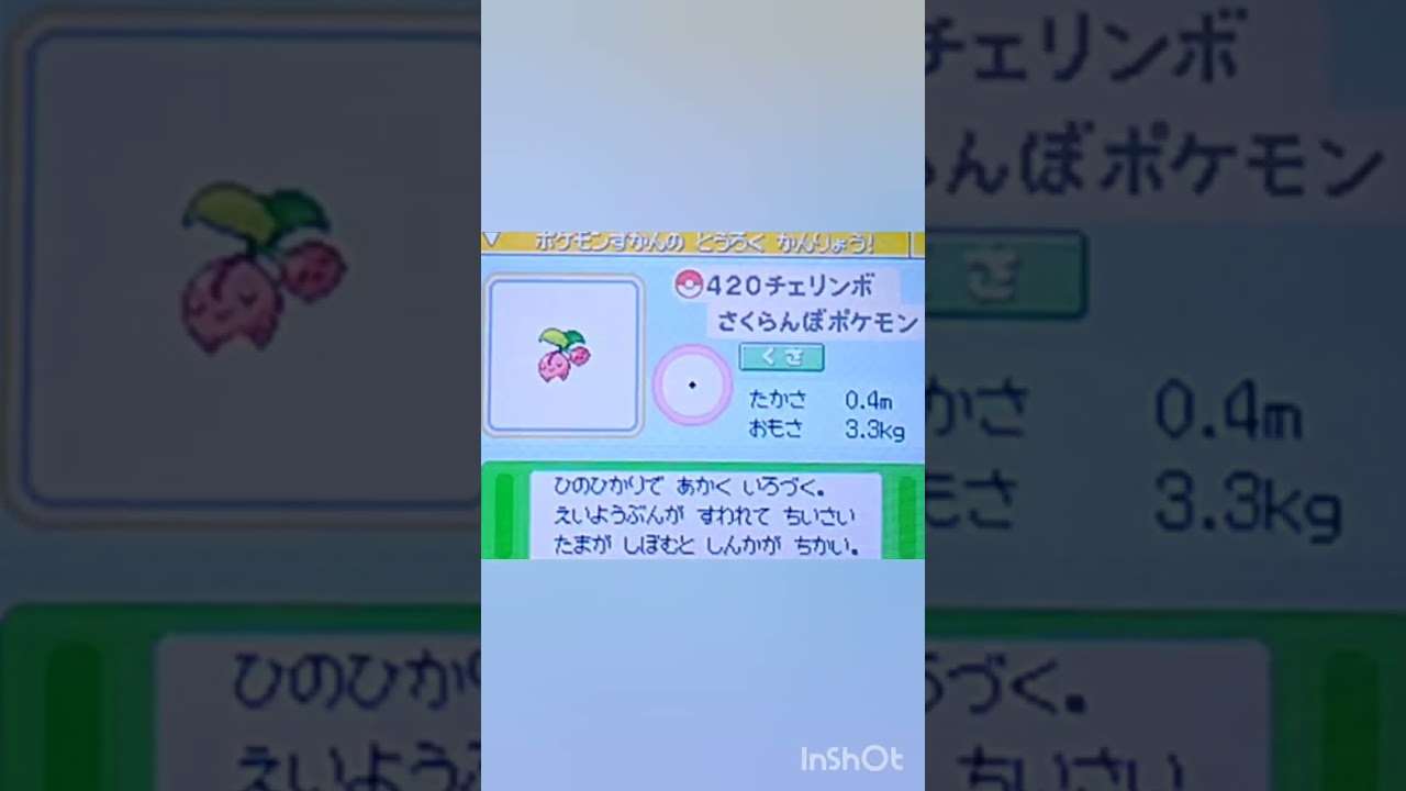 【ポケモンDP】色違い捕獲日記　63日目　チェリンボ　【PokémonDP】The diary Capturing shiny Pokémon's　Day63　Cherubi　#shorts