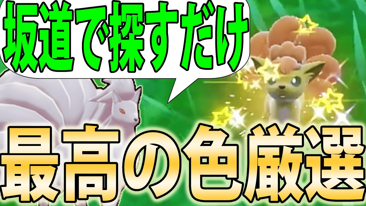 【坂道厳選】色違いロコン＆キュウコンを高効率＆簡単にGETする方法！あの坂道超良きです【ポケモンSV】