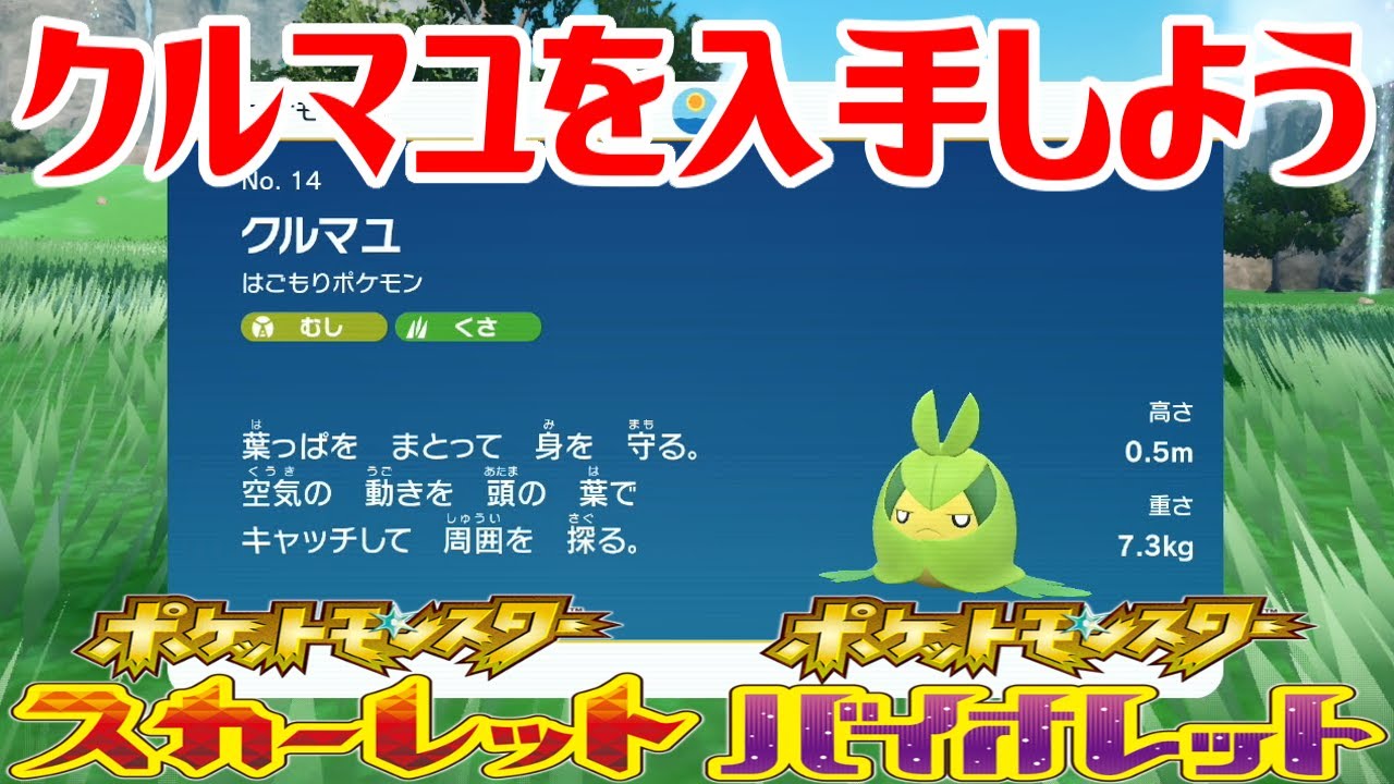 【ポケモンSV】クルマユを入手しよう【ポケットモンスター スカーレット・バイオレット ゼロの秘宝 碧の仮面】Pocket Monsters