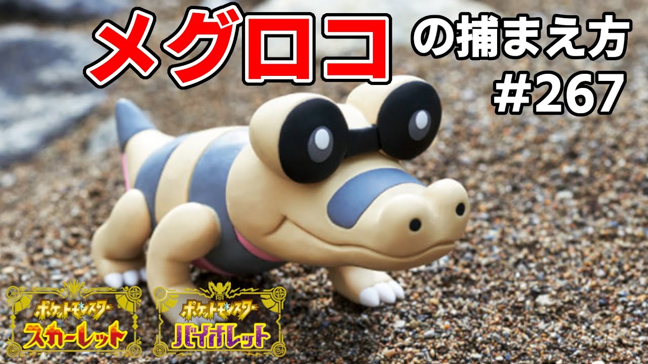 メグロコを探している方に見てほしい動画