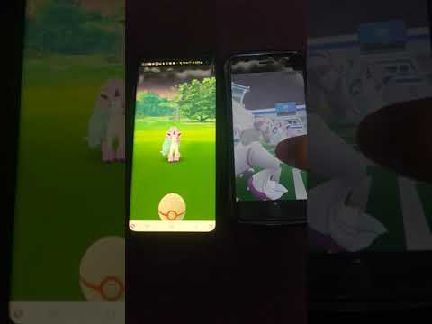 ガラルポニータ ゲッチャレ   #ポケモン #ポケモンGO #レイド #ガラルポニータ