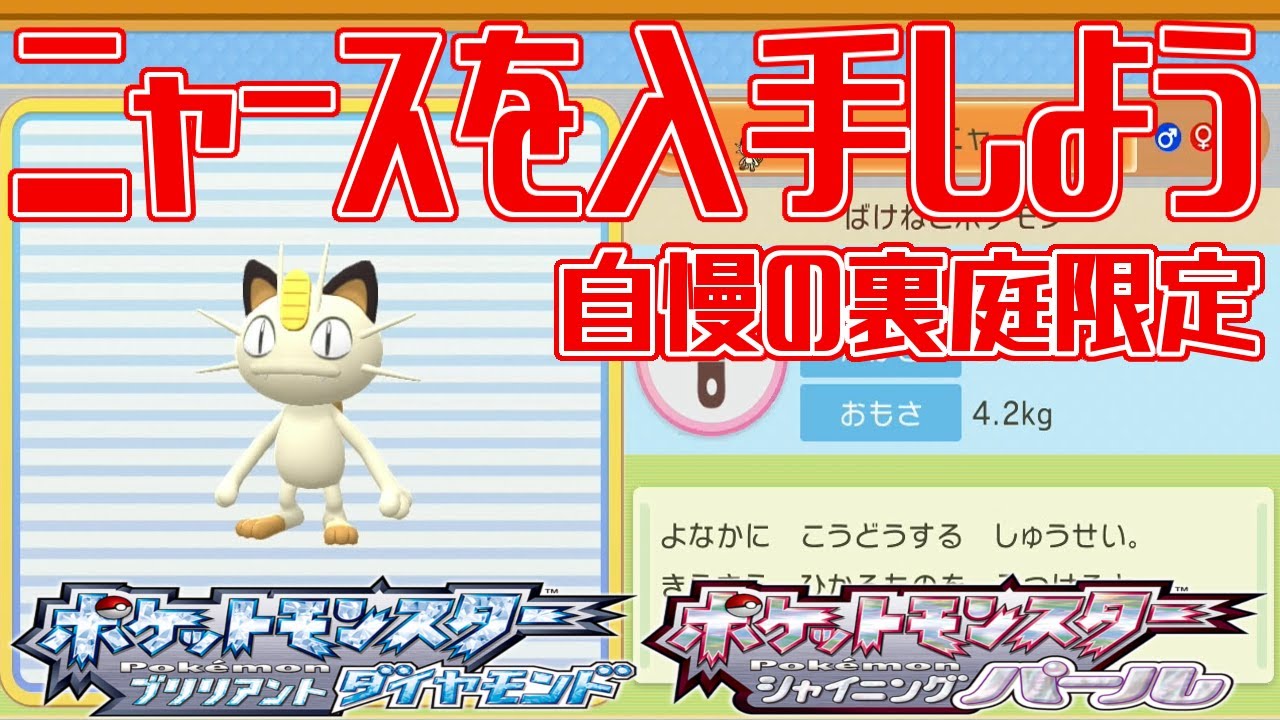 【ポケモンダイパリメイク】ニャースを入手しよう 自慢の裏庭限定(じまんのうらにわ) 【ポケットモンスター ブリリアントダイヤモンド・シャイニングパール】Pocket Monsters