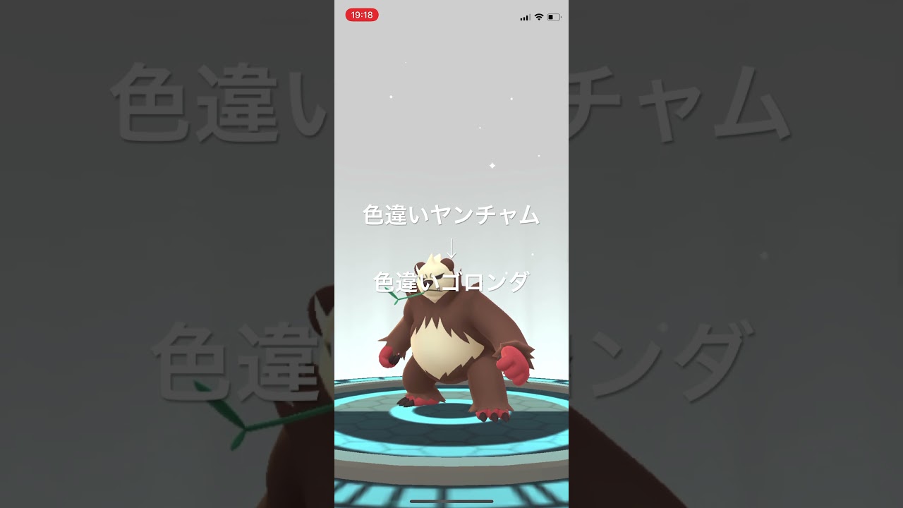 ポケモンGO 色違いヤンチャムを色違いゴロンダへ進化！ #pokémon #ポケットモンスター