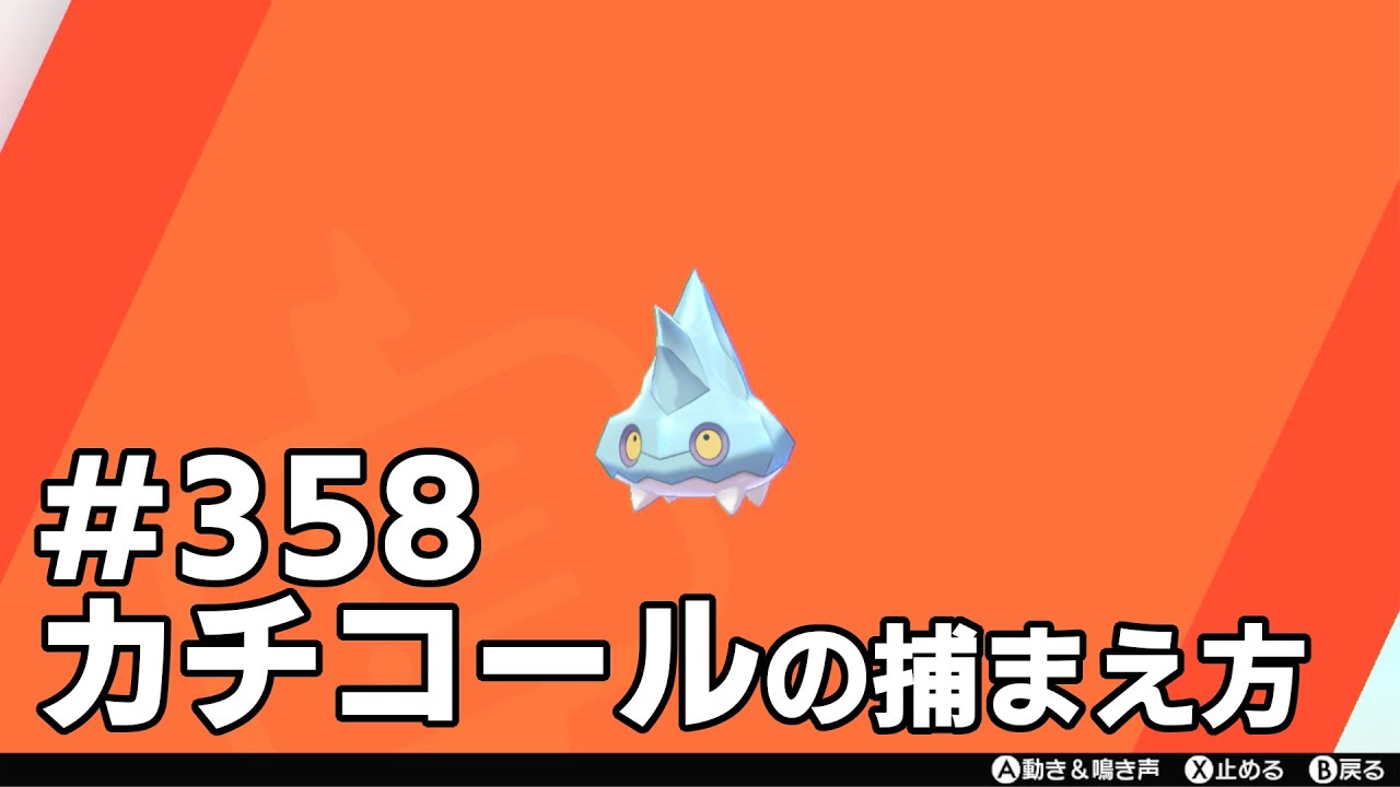 カチコールを探している方に見てほしい動画