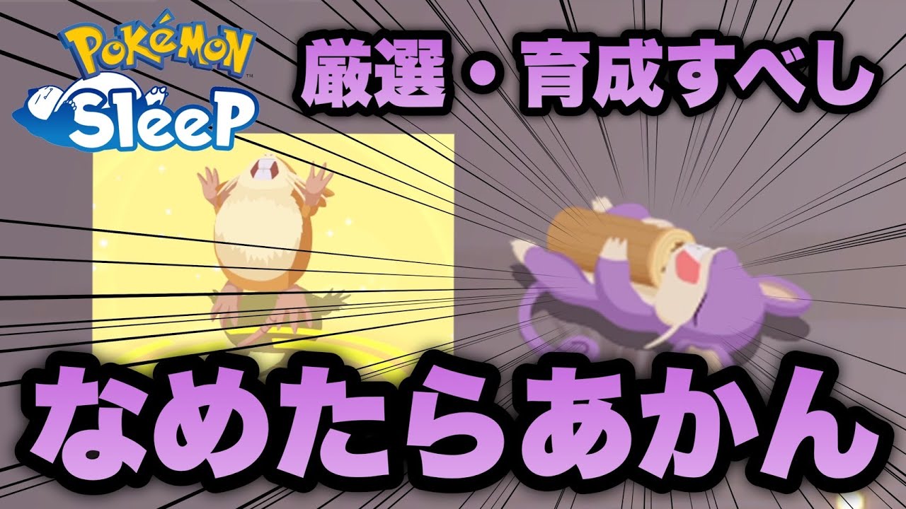 実は育成必須のラッタの性能！優秀スキル個体を育成してみる【ポケモンスリープ/安心院幽】