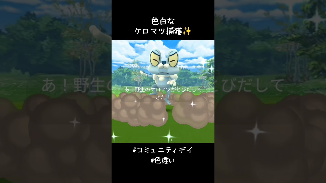色白なケロマツ捕獲✨✨✨かわいい！進化させるの楽しみー！！#ポケモンGO #コミュニティデイ #色違い