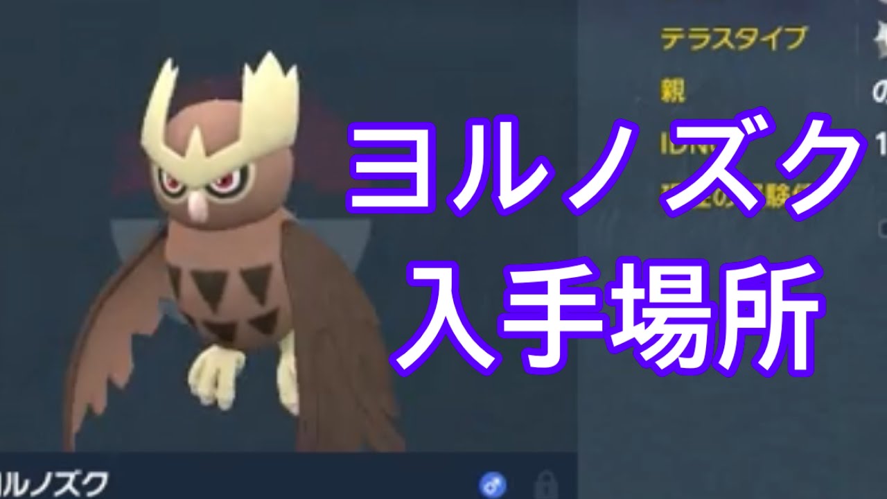 【ポケモンSV】【DLC】ヨルノズク入手場所