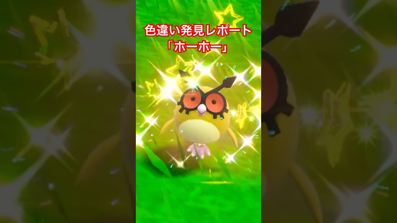 ポケモンSV色違い発見レポート「ホーホー」