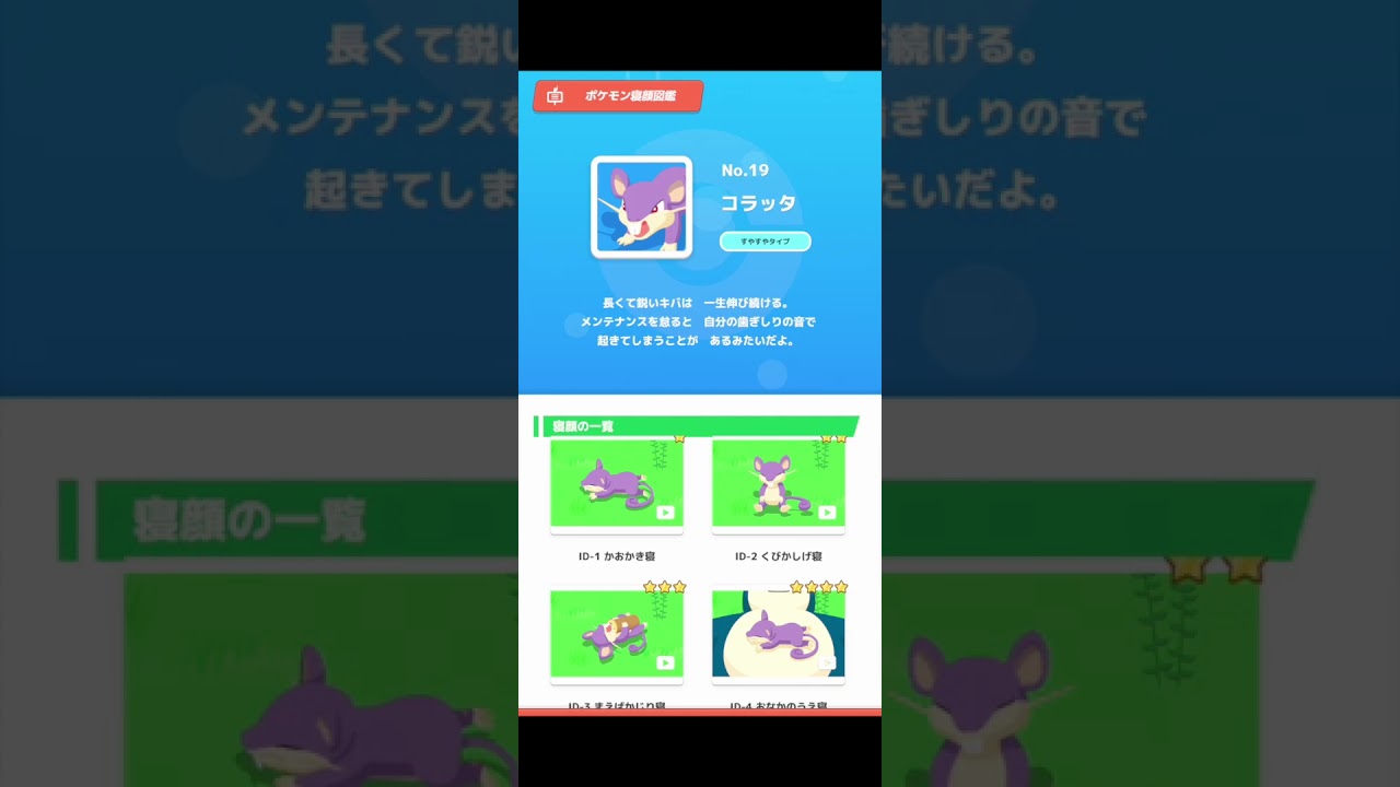 ポケモンスリープ コラッタの寝顔図鑑コンプ #shorts