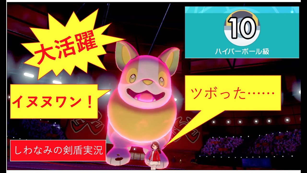 【しわなみポケモン剣盾】イヌヌワン！ワンパチがハイパーボール級で活躍する神回。 #24