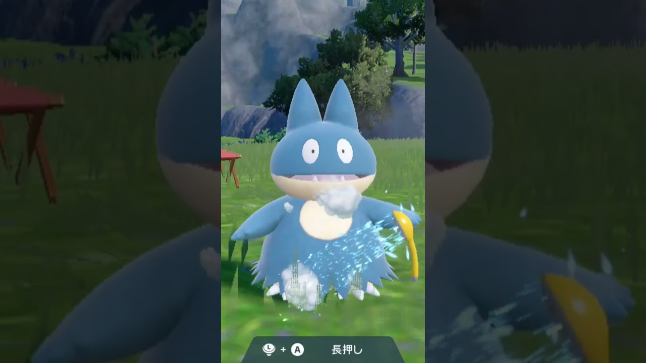 ゴンベ【ポケモンsv】