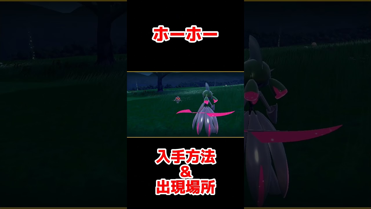 ホーホー入手方法＆出現場所!!【ポケモンSV】【ゼロの秘宝／碧の仮面】#shorts