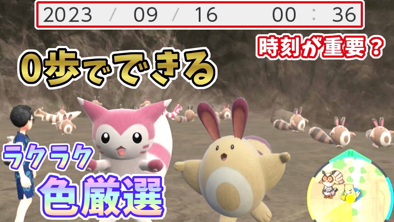 【ポケモンSV】オタチ・オオタチの色違い厳選解説！画面固定0歩で簡単色違いGET！[ゼロの秘宝・碧の仮面]