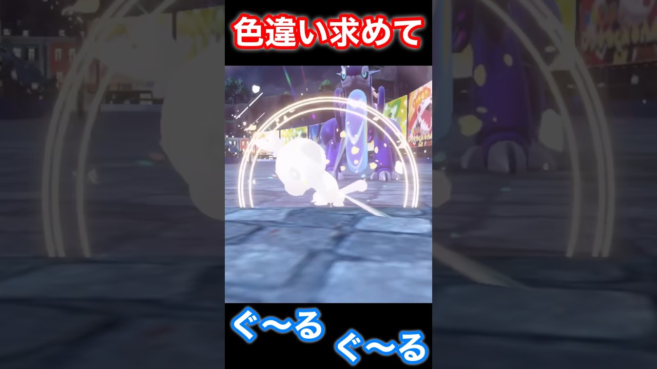 ハッコウシティをグルグルする人#shorts #short #pokemon #サルノリ#バチンキー#ゴリランダー#ポケモンsv #色違い#久遠ふうかの部屋