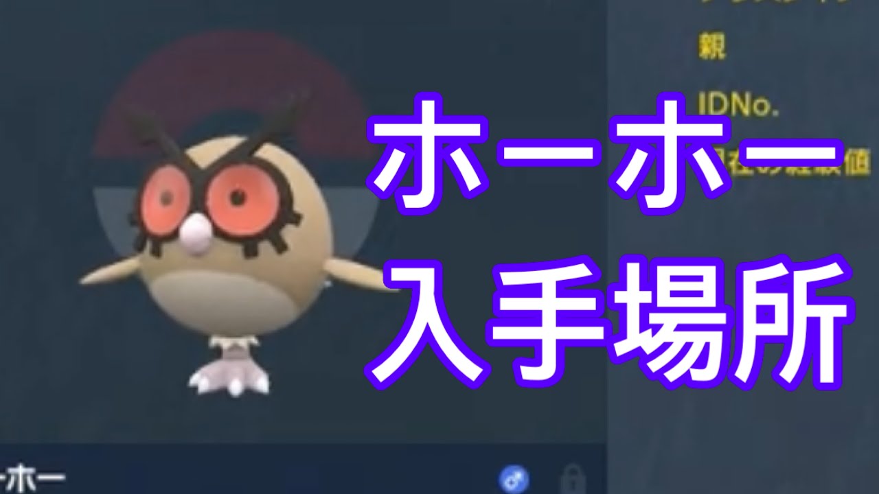 【ポケモンSV】【DLC】ホーホー入手場所