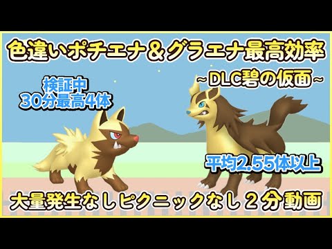 碧の仮面 色違いポチエナ＆グラエナ最高効率２分まとめ 30分最高４体平均2.55体以上#ポケモンsv #最高効率 #色違い #ポチエナ #グラエナ #ゼロの秘宝 #大量発生なし #ピクニックなし