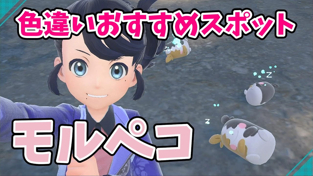 【ポケモンSV】色違いモルペコ厳選！ おすすめスポット【ポケットモンスター スカーレット・バイオレット】