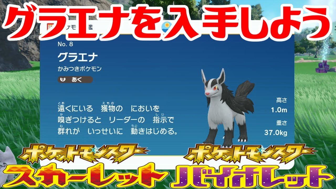【ポケモンSV】グラエナを入手しよう【ポケットモンスター スカーレット・バイオレット ゼロの秘宝 碧の仮面】Pocket Monsters