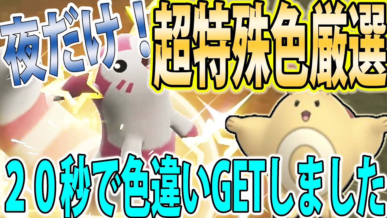 【夜だけ！？】色違いオタチ＆オオタチを謎の洞窟で0歩色厳選する方法紹介！【ポケモンSV】