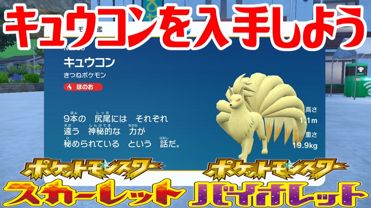 【ポケモンSV】キュウコンを入手しよう 進化入手【ポケットモンスター スカーレット・バイオレット ゼロの秘宝 碧の仮面】Pocket Monsters