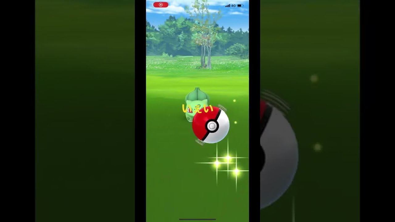 ［ポケモンGO］フシギダネの色違いって不思議だね！   #フシギダネ#コミュディ#色違い#たね#short#ポケモン#ポケモンGO#Pokémon GO#ハードプラント#がちる#進化