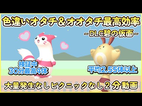 碧の仮面 色違いオタチ＆オオタチ最高効率２分まとめ 30分最高４体平均2.55体以上#ポケモンsv #最高効率 #色違い #オタチ #オオタチ #ゼロの秘宝 #大量発生なし #ピクニックなし