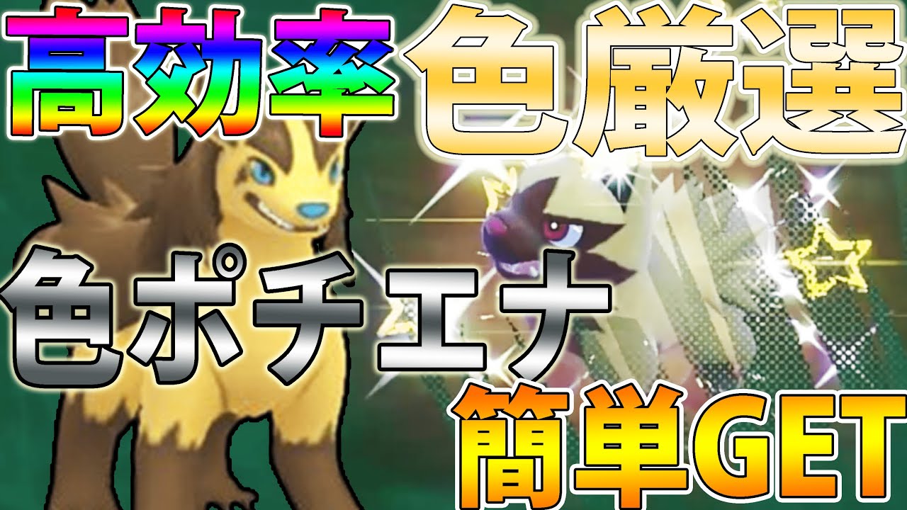 【エモすぎる】色違いポチエナ＆グラエナを高効率＆簡単にGETする方法！ある場所が最強です【ポケモンSV】